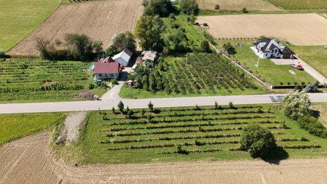 Działka inwestycyjna Mstów. Zdjęcie 6