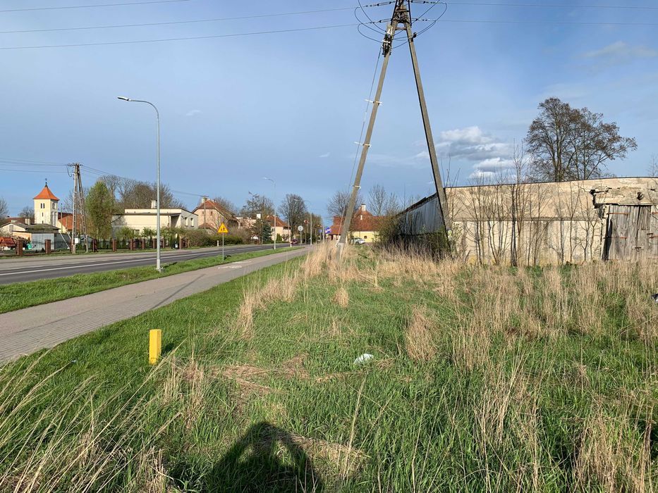 Hala/magazyn Budry, al. Wojska Polskiego. Zdjęcie 2