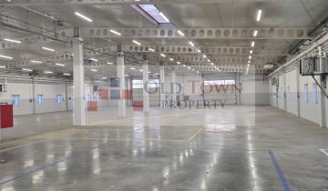Hala/magazyn Lublin Konstantynów, ul. Nałęczowska