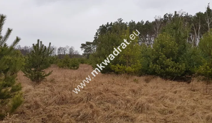 Działka budowlana Budy Iłowskie