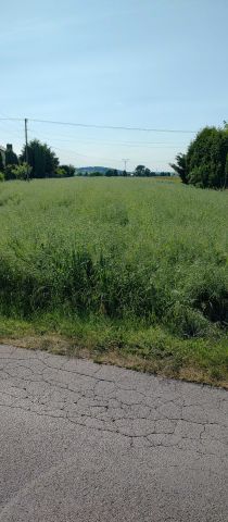 Działka rolno-budowlana Januszowice. Zdjęcie 1