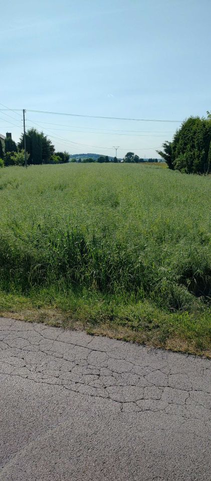 Działka rolno-budowlana Januszowice. Zdjęcie 1