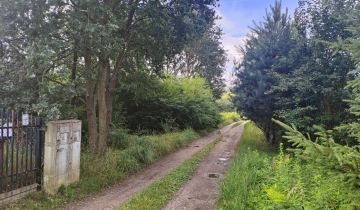 Działka budowlana Aleksandrów Łódzki, ul. Morwowa