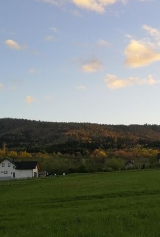 Działka budowlana Bujaków Bujaków Górny, ul. Modrzewiowa. Zdjęcie 1