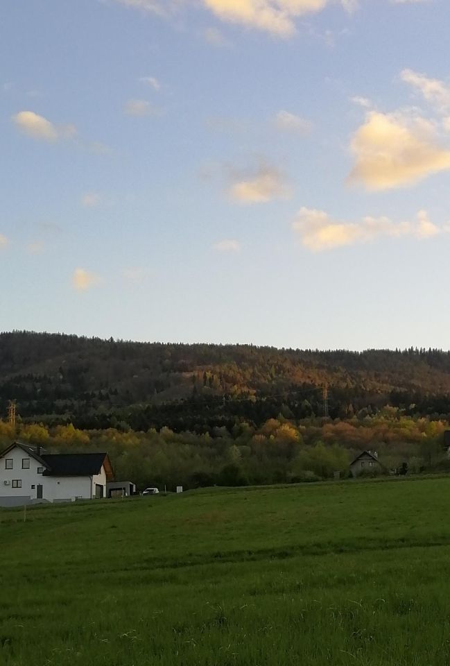 Działka budowlana Bujaków Bujaków Górny, ul. Modrzewiowa