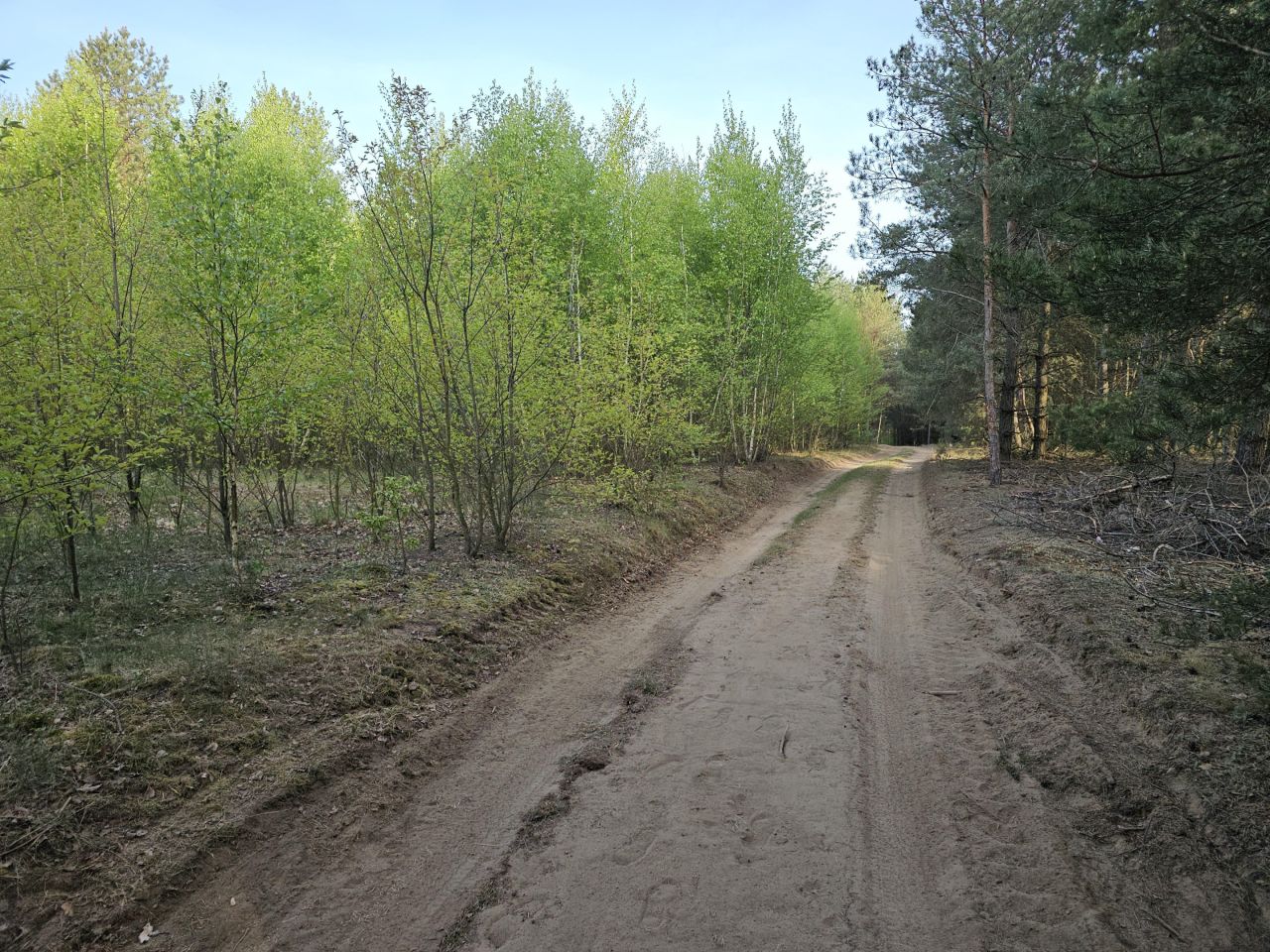 Działka rolno-budowlana Huta. Zdjęcie 6