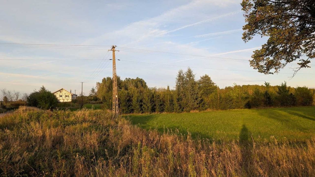 Działka inwestycyjna Ludwinów. Zdjęcie 8