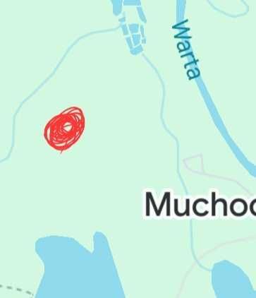 Działka Muchocin. Zdjęcie 4