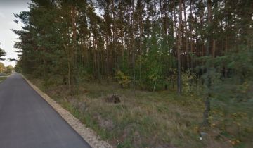Działka leśna Wygoda
