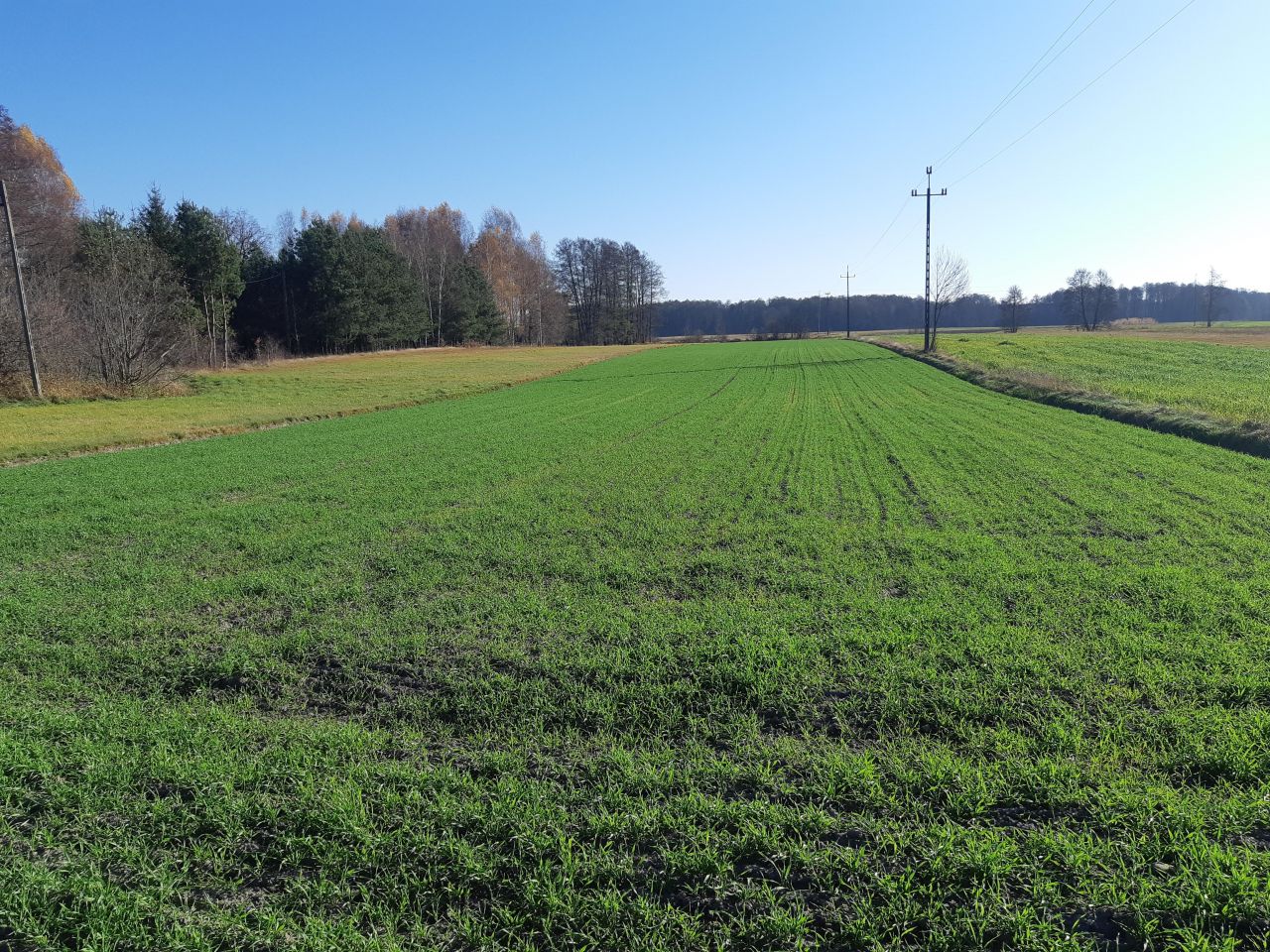 Działka budowlana Prostyń. Zdjęcie 4