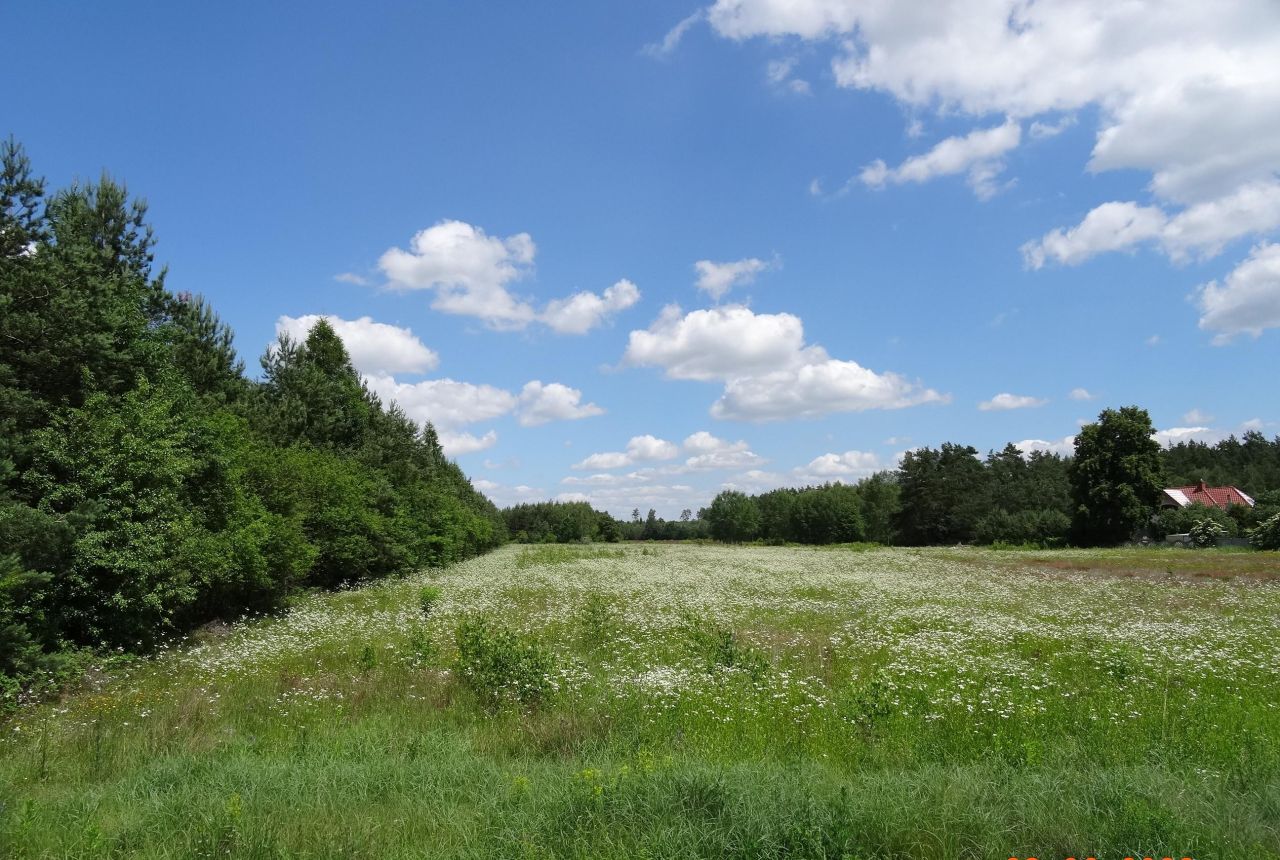 Działka budowlana Mława Studzieniec, ul. Danuty Siedzikówny "Inki". Zdjęcie 4
