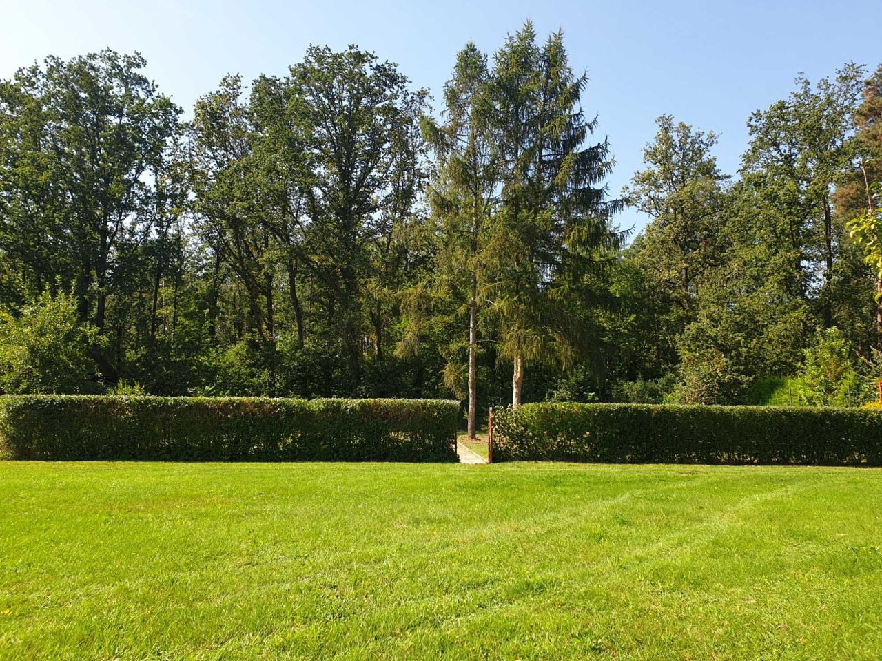 Działka rekreacyjna Lubin Przylesie