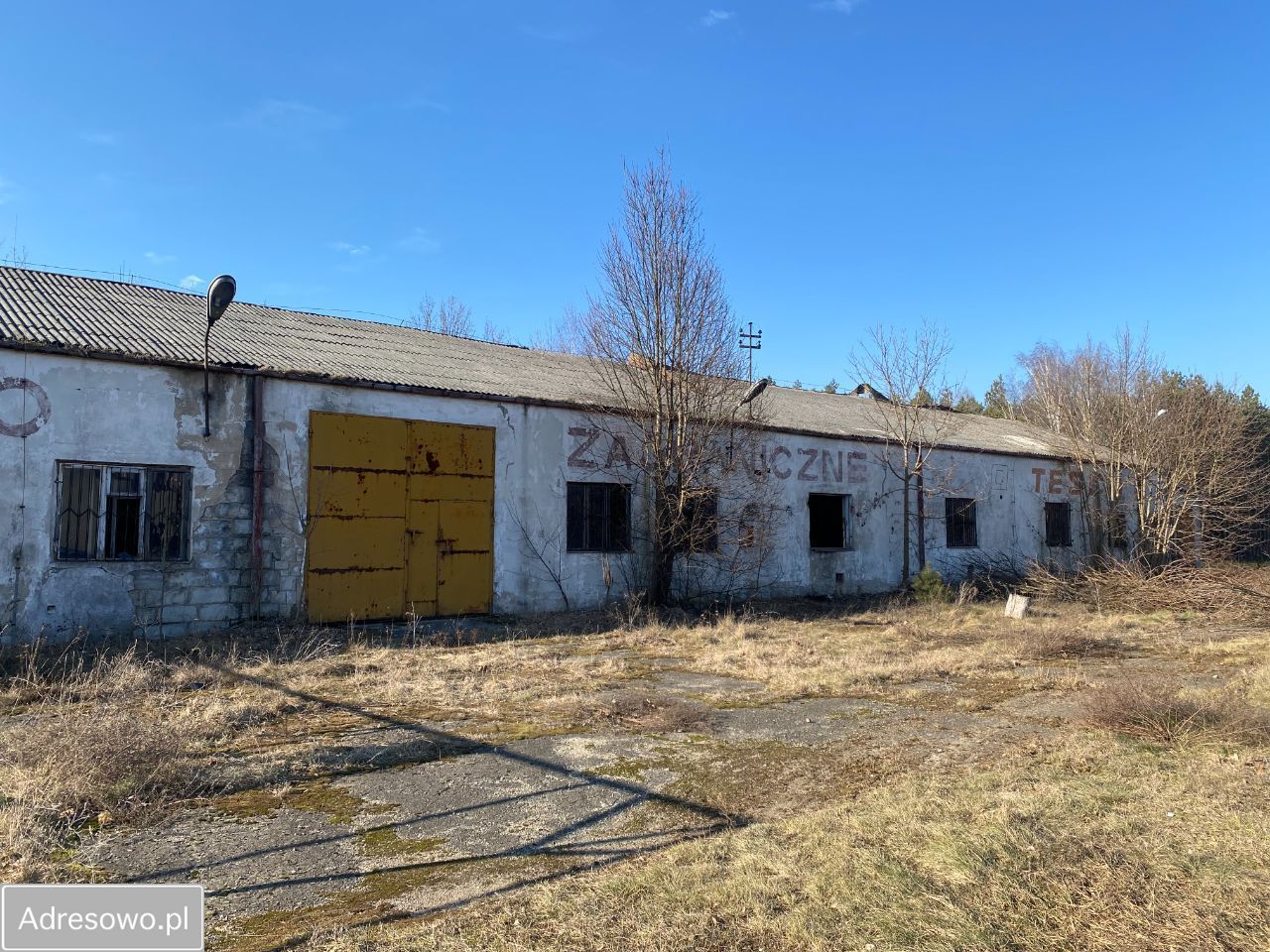 Hala/magazyn Kowalewice Włościańskie. Zdjęcie 9