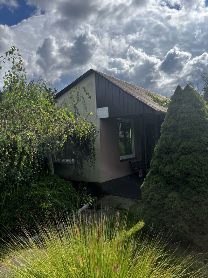 Działka rod Skierniewice, ul. Mazowiecka. Zdjęcie 4