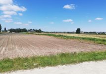 Działka inwestycyjna Lubanów, Lubanów. Zdjęcie 3
