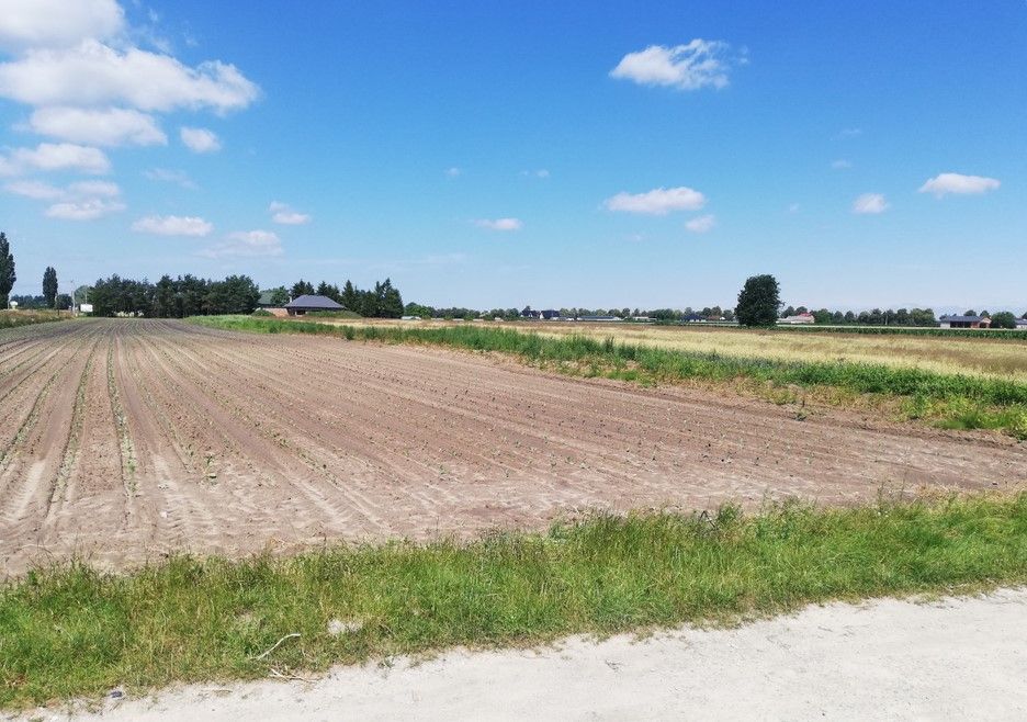 Działka inwestycyjna Lubanów, Lubanów. Zdjęcie 4