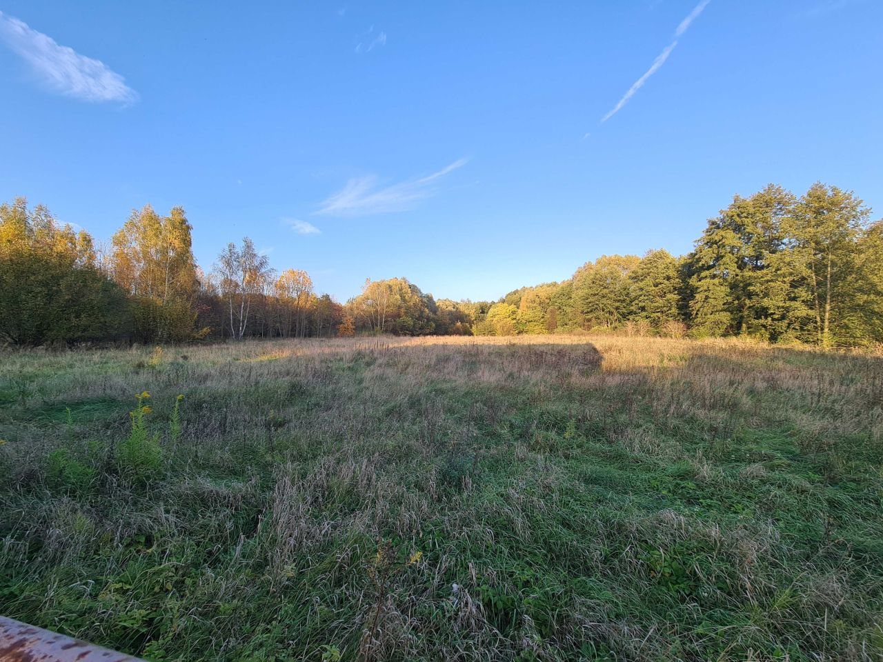 gospodarstwo Rembieszów. Zdjęcie 7