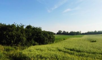 Działka siedliskowa Wasilówka