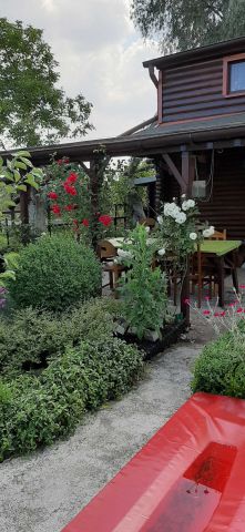 Działka rekreacyjna Szczecin Centrum. Zdjęcie 1