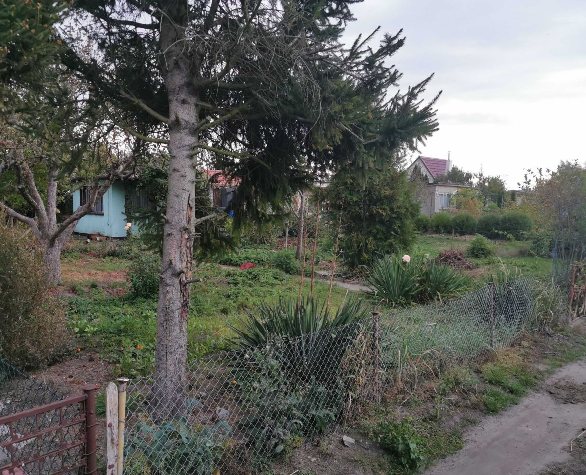 Działka rod Żnin. Zdjęcie 4