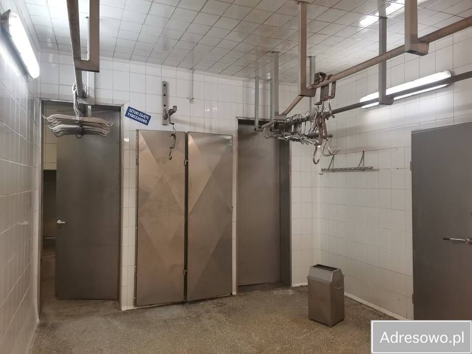 Hala/magazyn Bełchatów. Zdjęcie 9