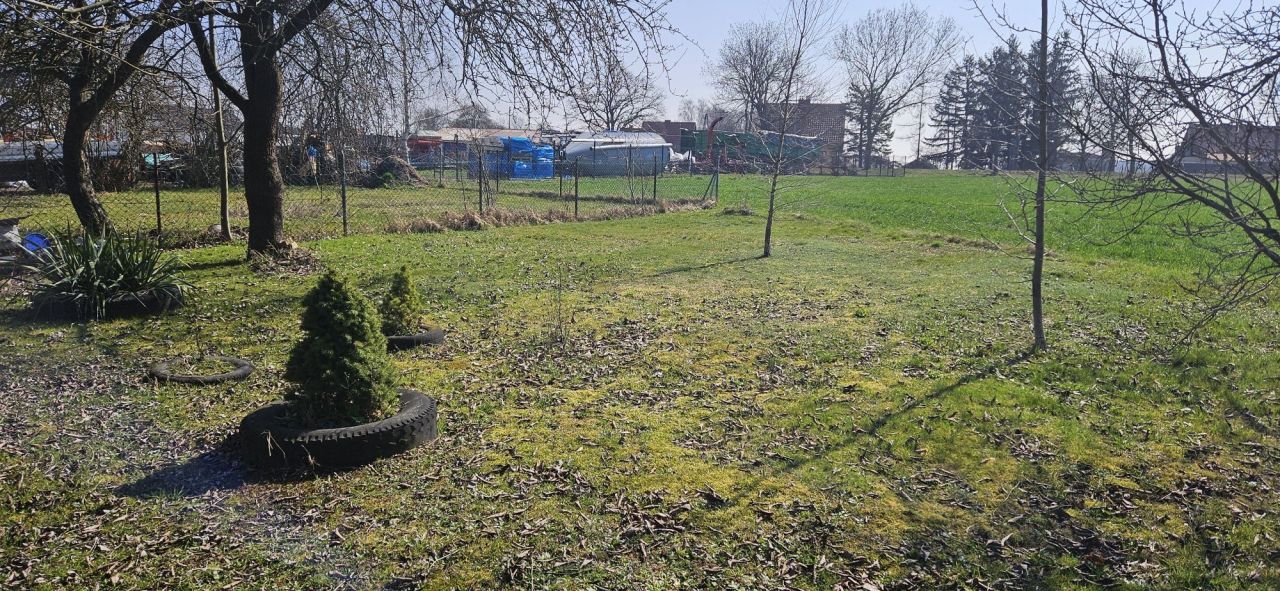 Działka siedliskowa Nowogrodziec. Zdjęcie 5