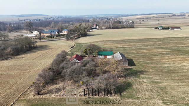 Działka siedliskowa Wierzbica. Zdjęcie 4