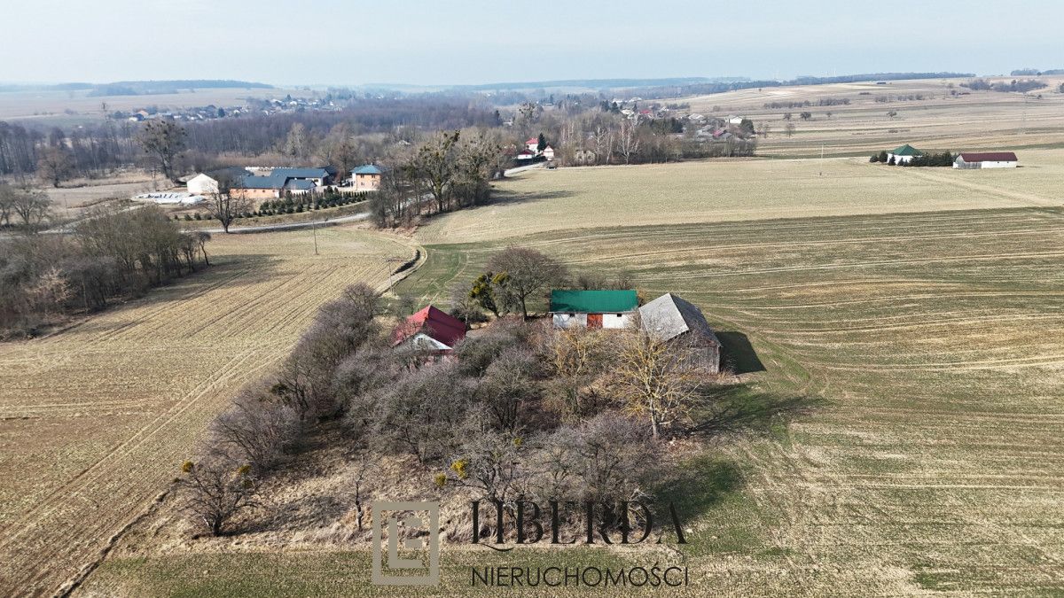 Działka siedliskowa Wierzbica. Zdjęcie 4