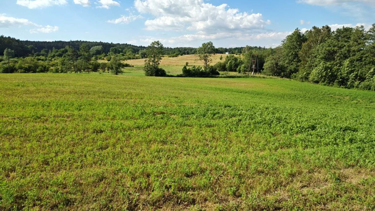 Działka budowlana Kwiedzina. Zdjęcie 8