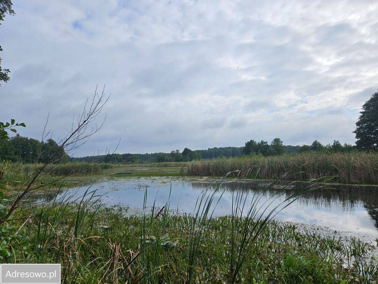 Działka budowlana Pogorzelec. Zdjęcie 4