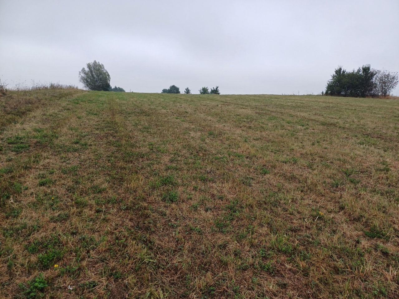 Działka rolna Miastków Kościelny, Górna. Zdjęcie 2