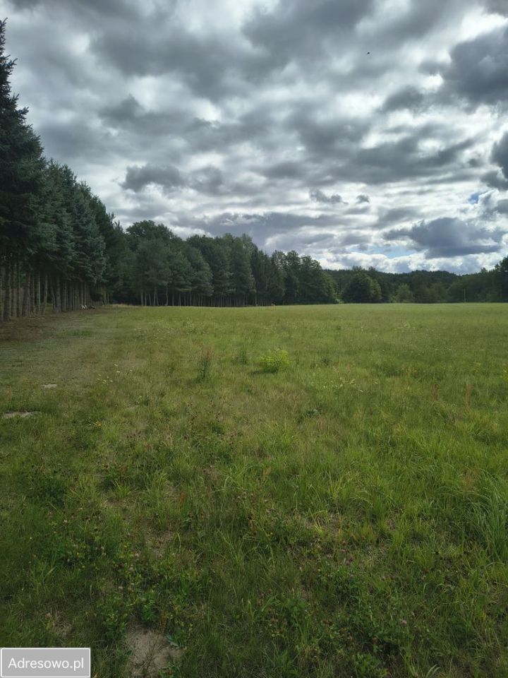 Działka budowlana Stare Osieczno. Zdjęcie 8