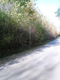 Działka rolna Szczawnica, ul. Sopotnicka. Zdjęcie 3