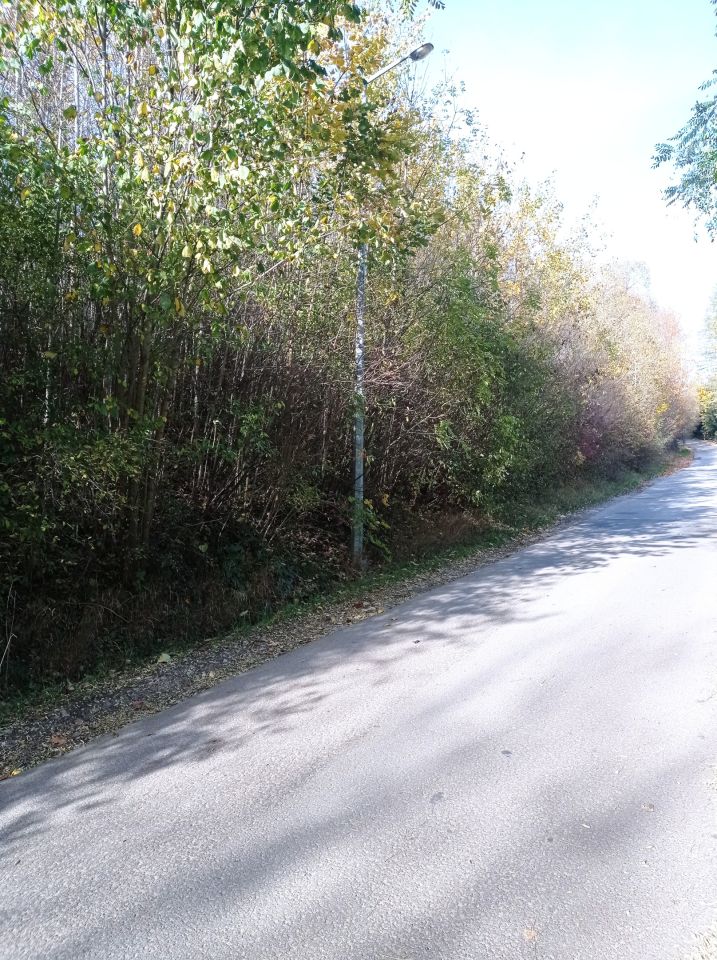 Działka rolna Szczawnica, ul. Sopotnicka. Zdjęcie 4