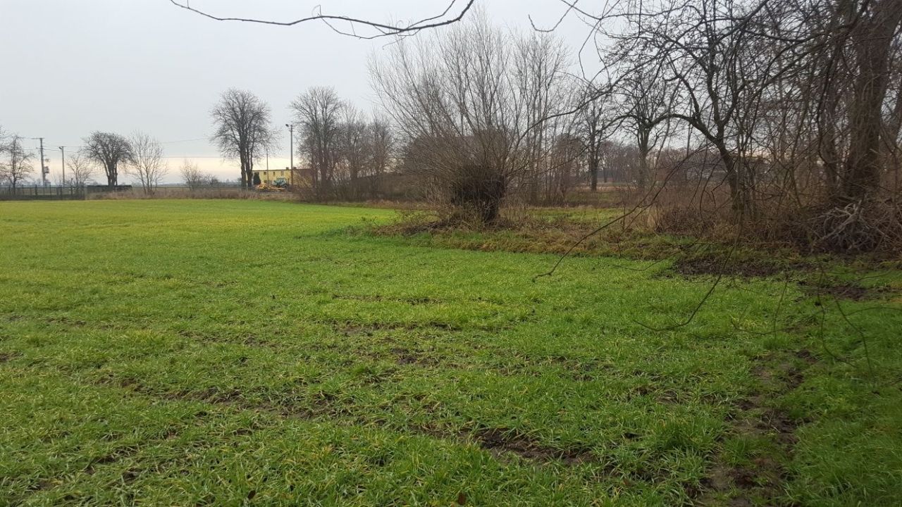 Działka budowlana Żydowo. Zdjęcie 8