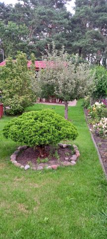 Działka rod Stary Toruń. Zdjęcie 1