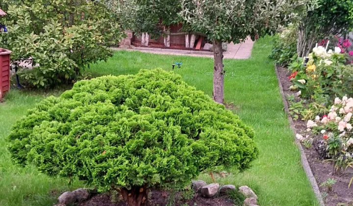 Działka rod Stary Toruń