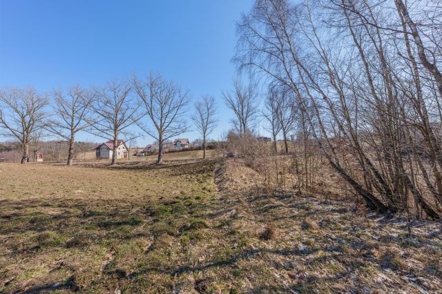 Działka budowlana Miechucino. Zdjęcie 5