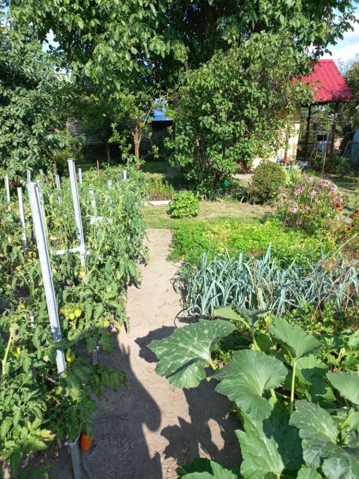 Działka rod Wrocław Psie Pole, ul. Bierutowska. Zdjęcie 2