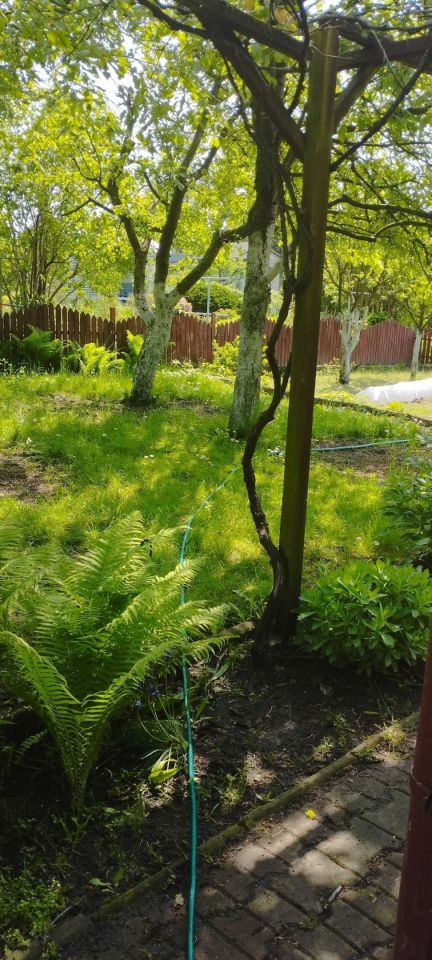 Działka rod Lublin, ul. Wilcza. Zdjęcie 6