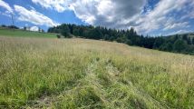 Działka rolno-budowlana Stara Wieś. Zdjęcie 4