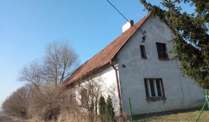 gospodarstwo Tryl