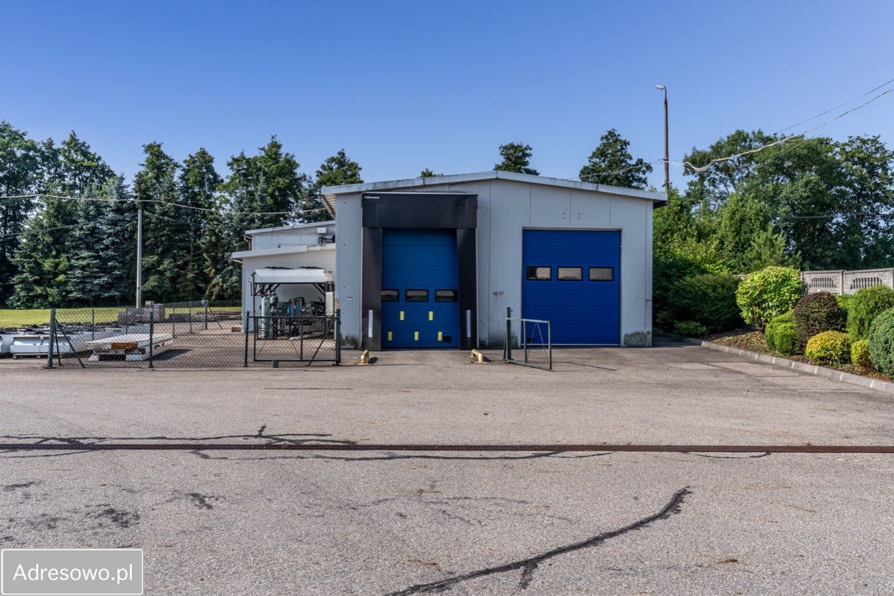 Hala/magazyn Targowisko. Zdjęcie 10