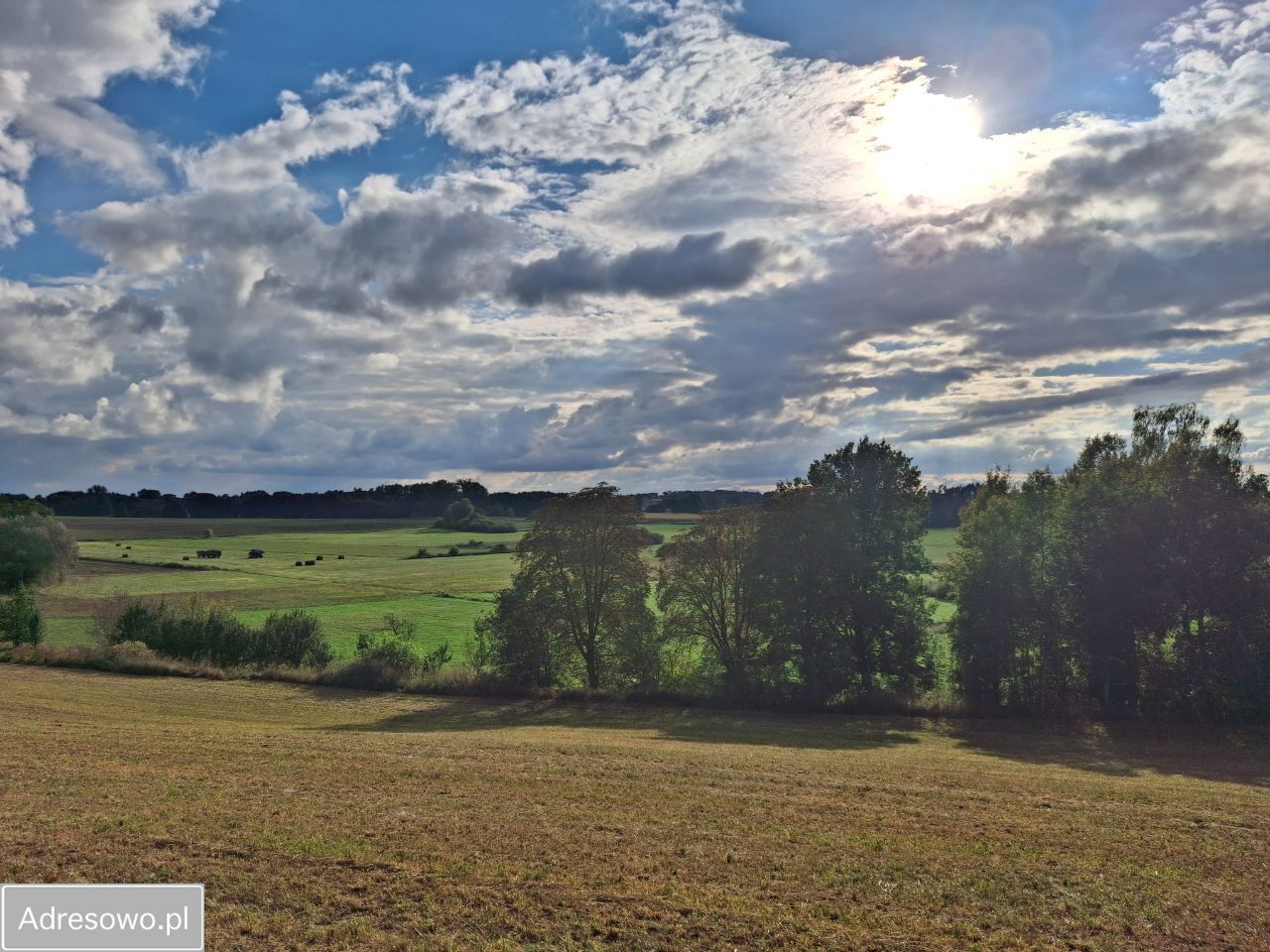 Działka budowlana Jabłowo Pałuckie. Zdjęcie 4