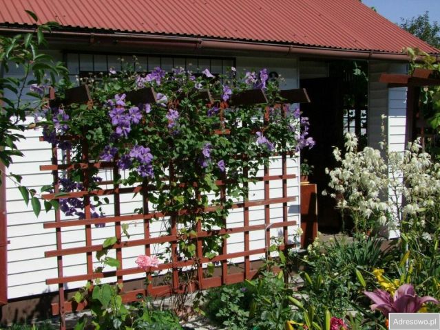 Działka rod Skarżysko-Kamienna, ul. Piękna. Zdjęcie 1