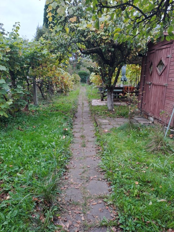 Działka rod Mierzyn. Zdjęcie 1