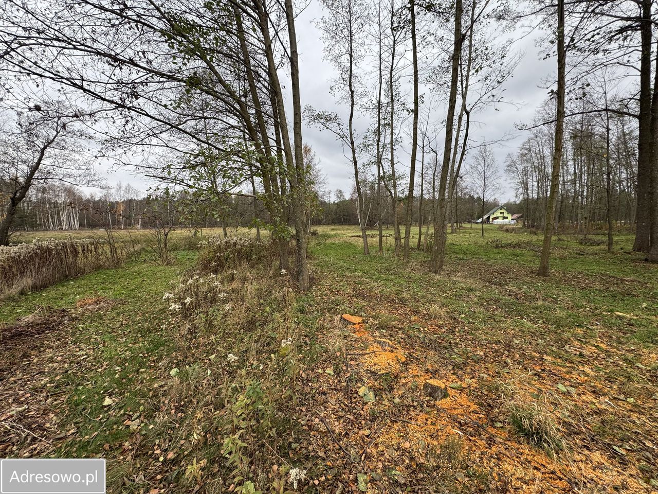 Działka budowlana Smolarzyny. Zdjęcie 10
