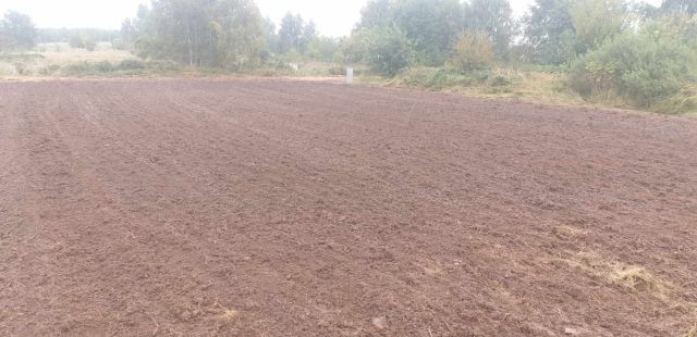 Działka rekreacyjna Pustkowo, ul. Bursztynowa. Zdjęcie 4