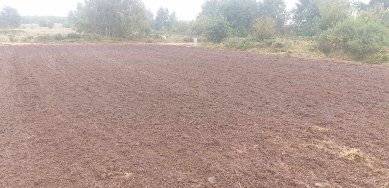 Działka rekreacyjna Pustkowo, ul. Bursztynowa. Zdjęcie 4