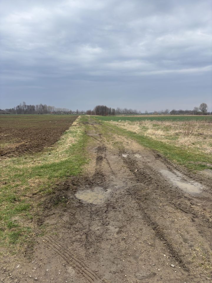 Działka rolna Koniaczów. Zdjęcie 13